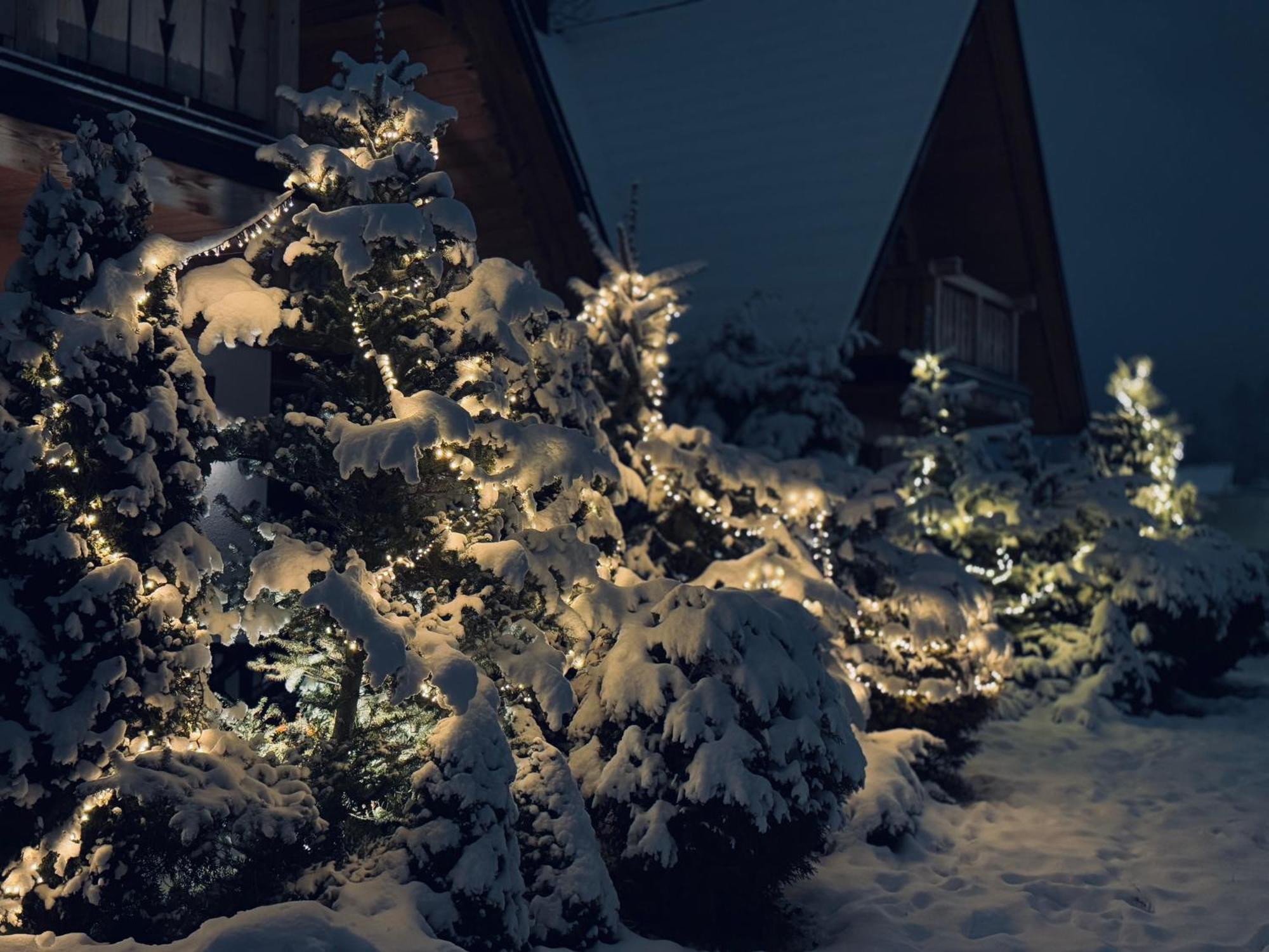 Przystanek Zakopane Daire Dış mekan fotoğraf